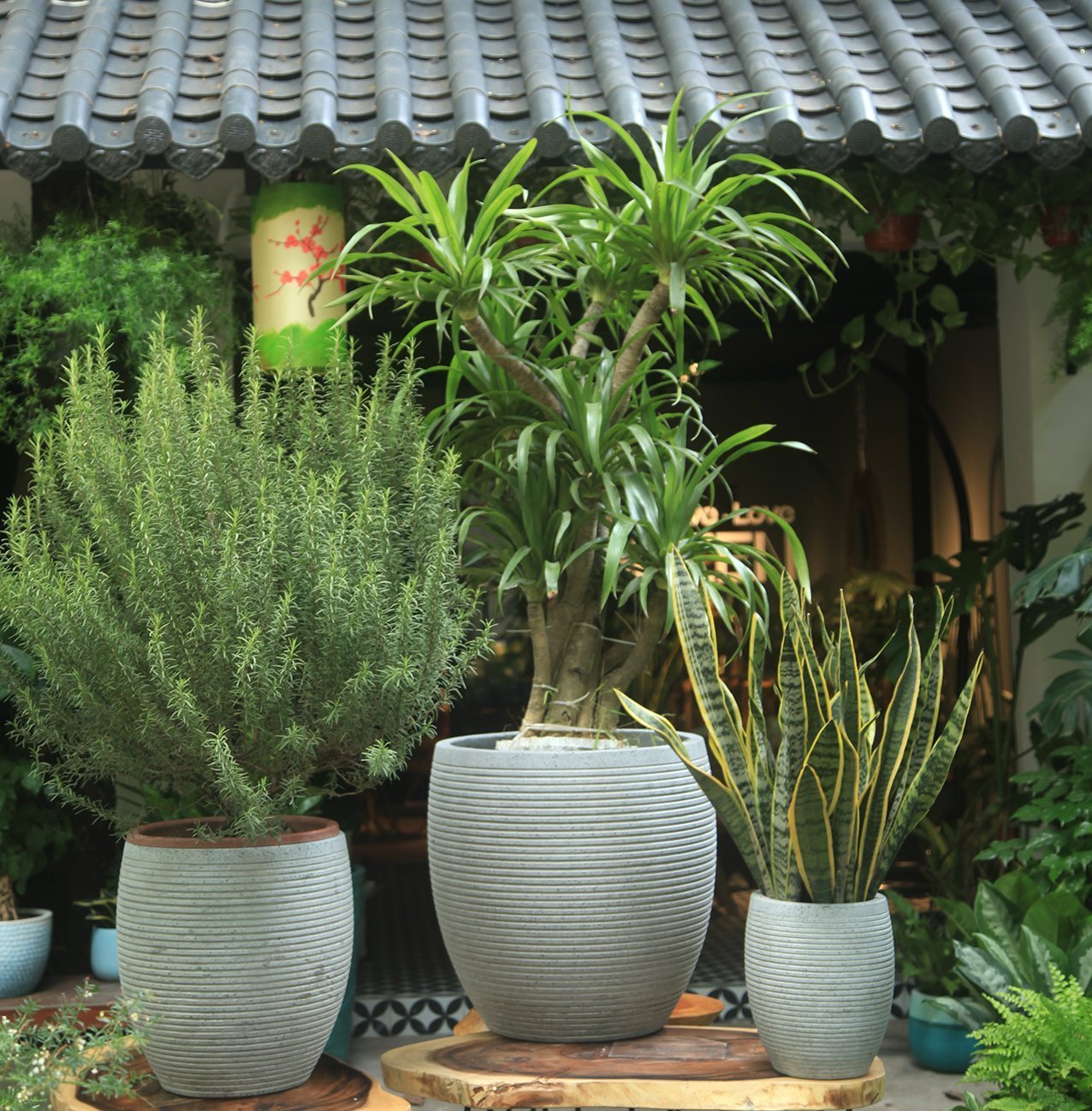 songxanh365.com 0904563521 (16)