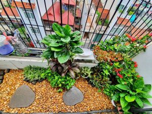 ban công với đá lối đi và cây cảnh