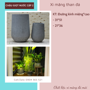 Chậu xi măng giọt nước