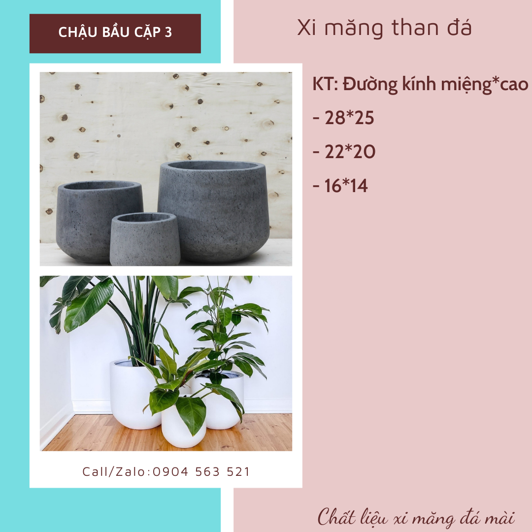 chậu xi măng dáng bầu chậu xi măng dáng bầu