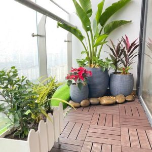 chậu composite hàng rào