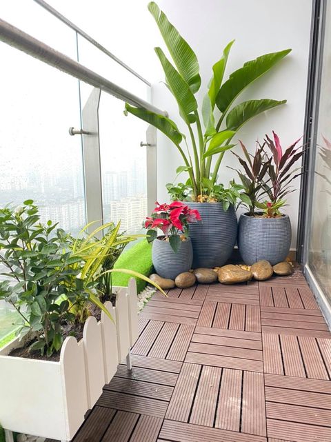 chậu composite hàng rào chậu composite hàng rào