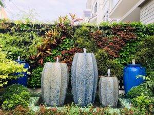 vườn tường cây thật