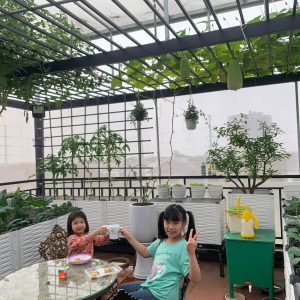 chậu trồng rau sạch dạng ghép