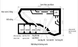 thi công hồ cá koi sân vườn