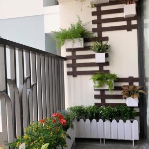 chậu composite hàng rào