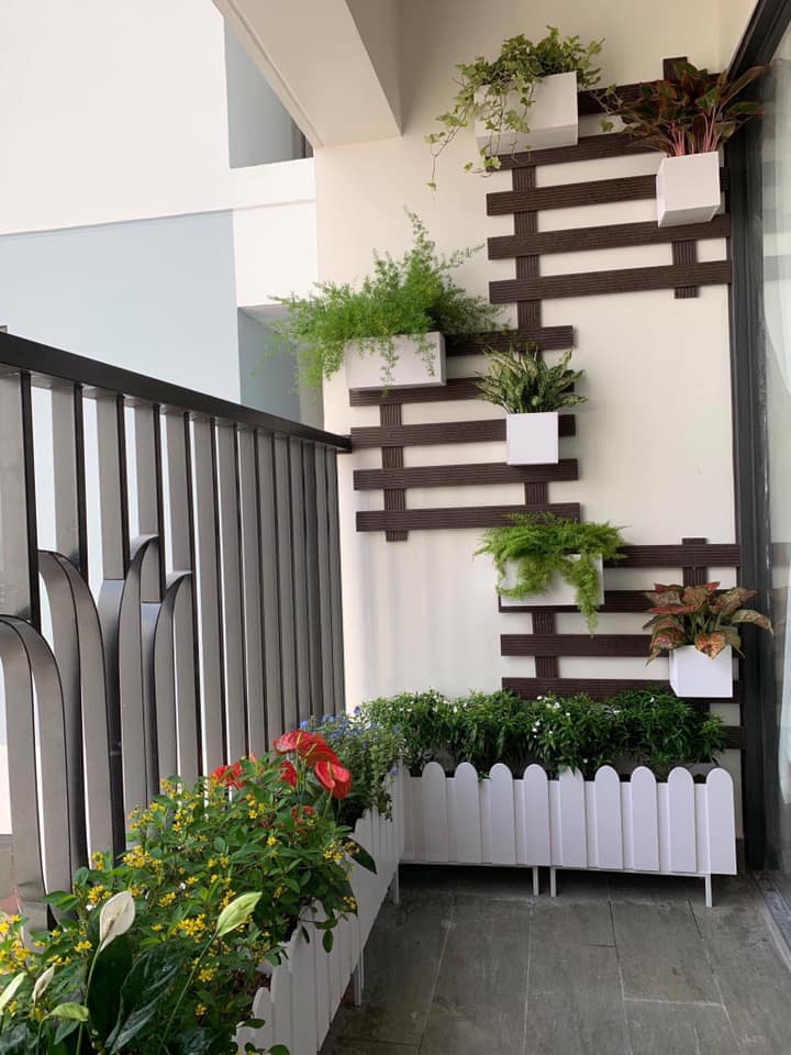 chậu composite hàng rào chậu composite hàng rào
