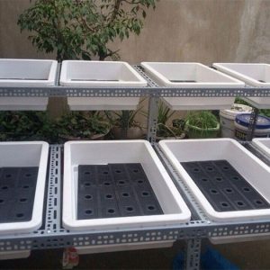 chậu trồng rau sạch