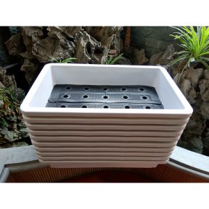 chậu trồng rau sạch