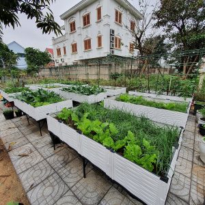 chậu trồng rau sạch dạng ghép