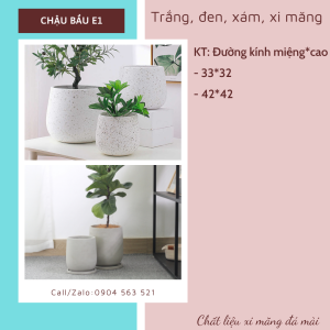 chậu xi măng dáng bầu