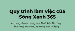 quy trình làm việc của sống xanh 365