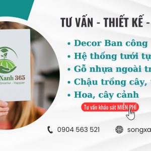 thiết kế không gian xanh sân vườn