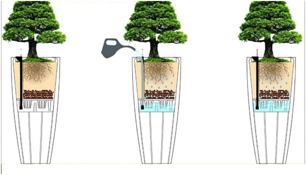 chậu tự dưỡng thông minh chậu tự dưỡng thông minh