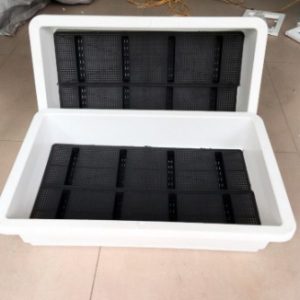 chậu trồng rau sạch