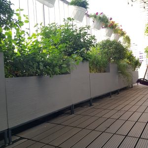 chậu composite vân xước
