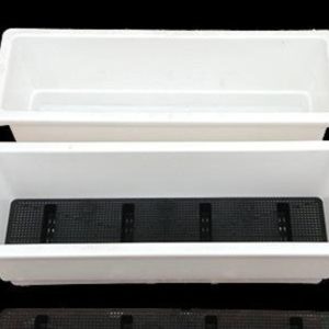 chậu trồng rau sạch