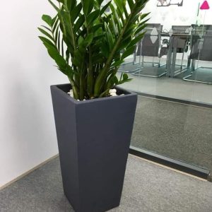 chậu tự dưỡng thông minh vuông vát
