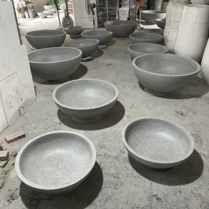 chậu trồng sen nuôi cá