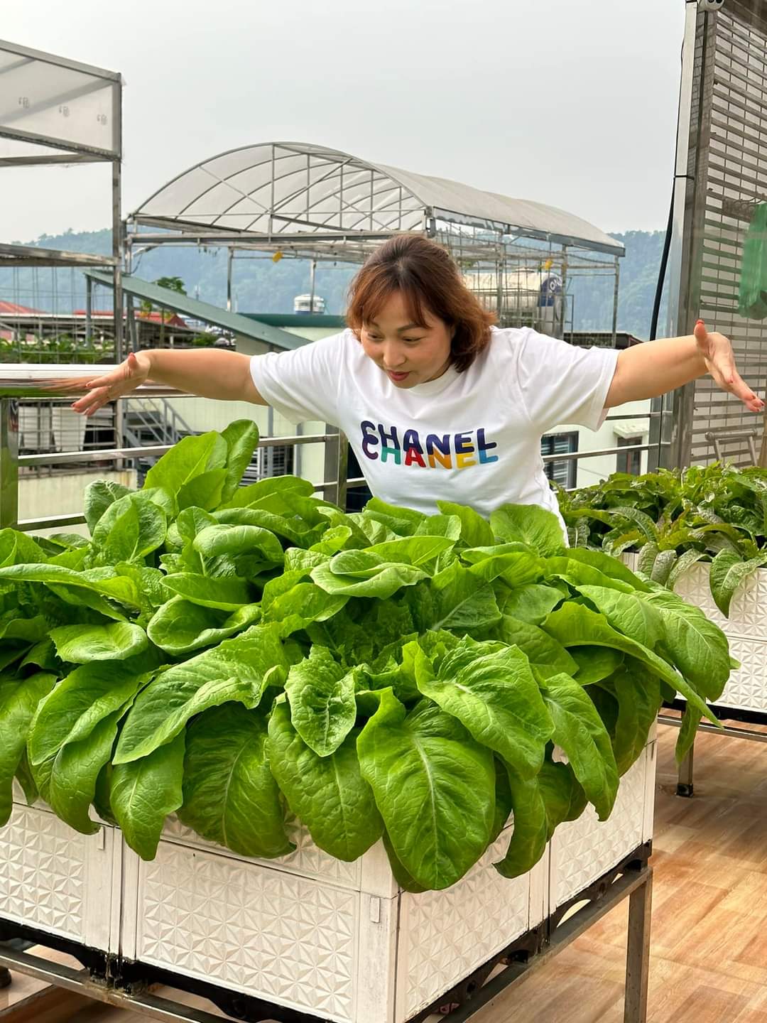 Không lo hết rau trong mọi thời điểm