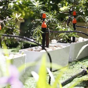béc tưới cam chỉnh lưu lượng