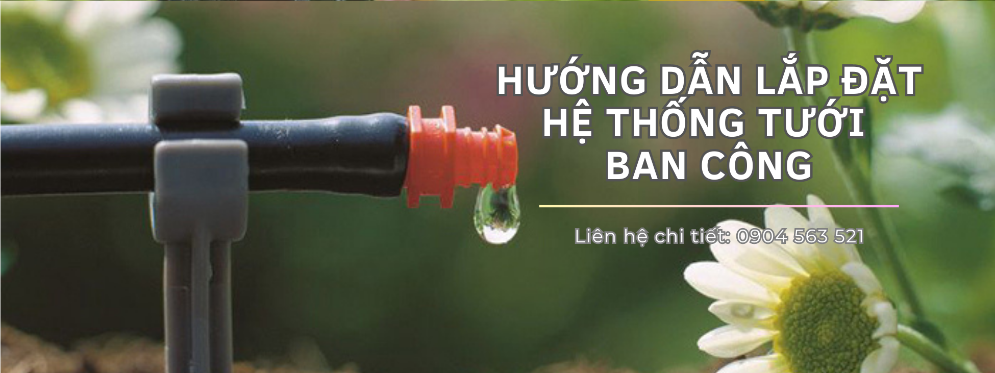 Hệ thống tưới nước nhỏ giọt