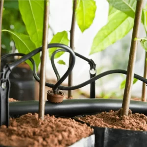 béc tưới nhỏ giọt que cắm tưới trang trại