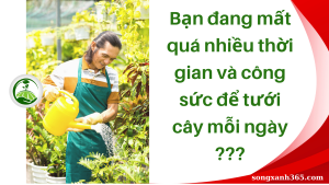 tôi đã có thêm 2 tiếng mỗi ngày nhờ vào hệ thống tưới thông minh