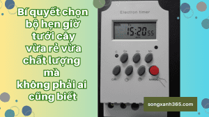 bí quyết chọn bộ hẹn giờ tưới cây
