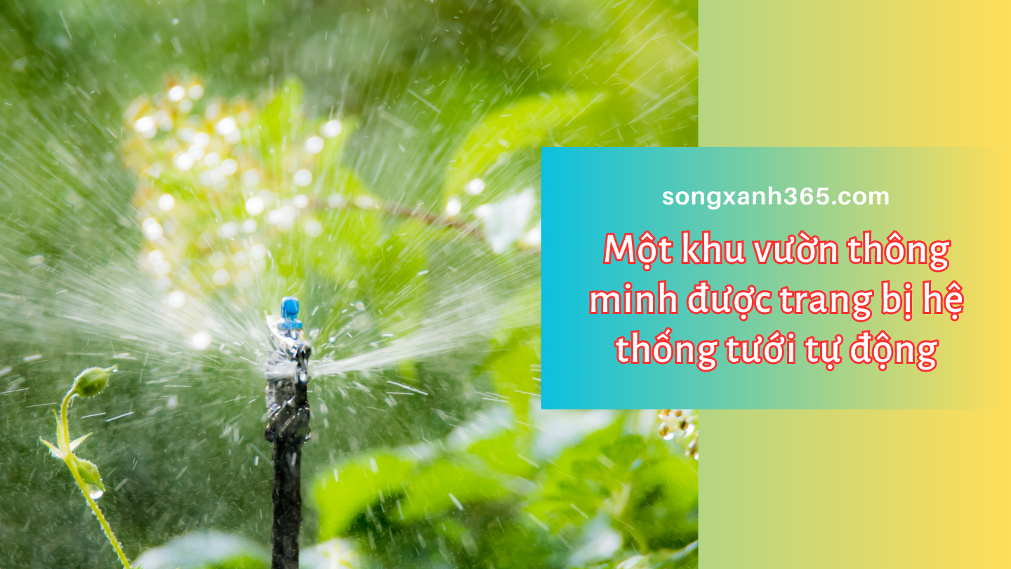 Một khu vườn thông minh được trang bị hệ thống tưới tự động