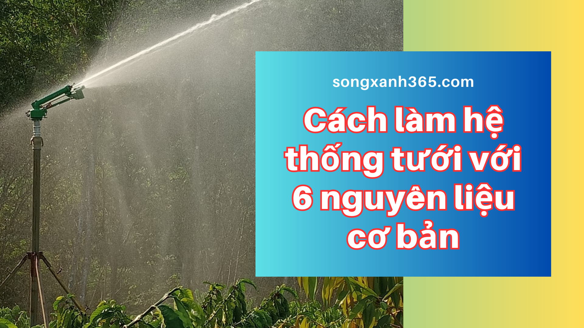 Cách làm hệ thống tưới tự động với 6 nguyên liệu cơ bản