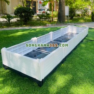 Chậu trồng rau HDPE ghép 200*50*23 Trắng