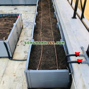 chậu ghép trồng rau hdpe