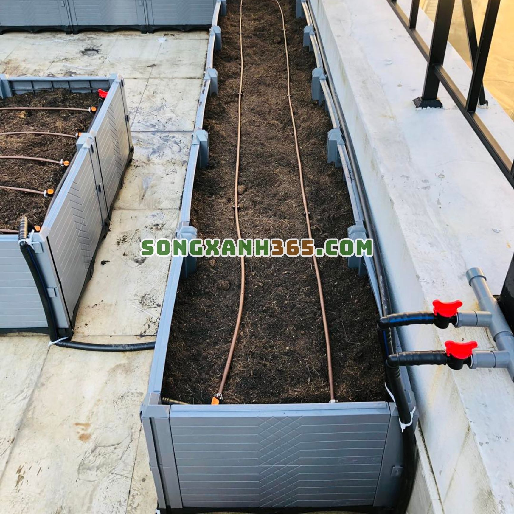chậu ghép trồng rau hdpe 200*50*40 chậu ghép trồng rau hdpe