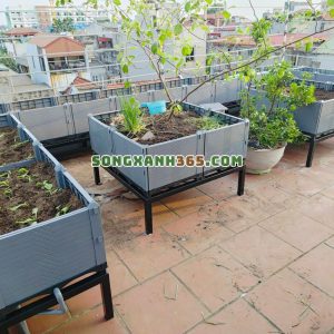 chậu ghép trồng rau hdpe