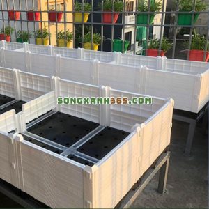Ứng dụng lắp đặt trồng rau sân thượng