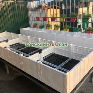 Ứng dụng chậutrồng rau hdpe ghép lắp đặt tại sân thượng