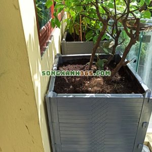 Phù hợp cho trồng cây ăn quả giá rẻ