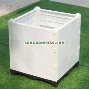Chậu trồng cây leo, cây ăn quả