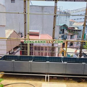 Chậu ghép trồng rau hdpe theo luống