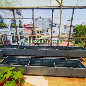 ứng dụng chậu ghép hdpe trên sân thượng