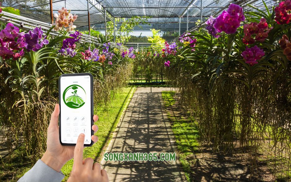 Hệ thống phun sương cho lan điều khiển qua điện thoại, phần mềm, wifi, 4G