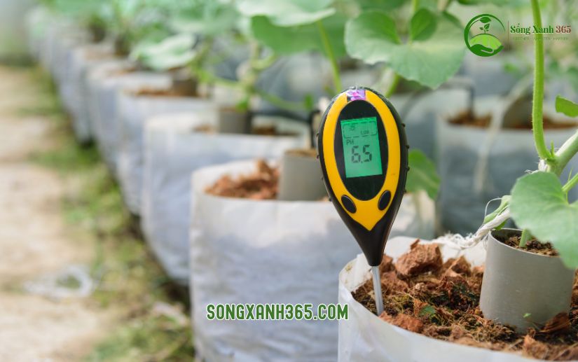 Thiết bị đo độ pH của đất để điều chỉnh lượng nước, phân bón cũng ảnh hưởng tới Chi phí lắp đặt hệ thống tưới