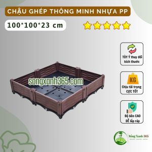 Chậu trồng rau nhựa PP thông minh
