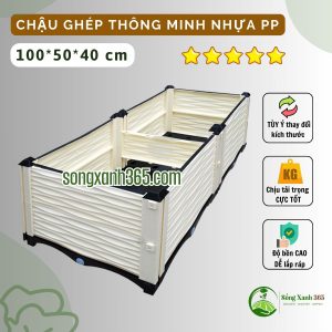 Chậu trồng rau thông minh nhựa PP