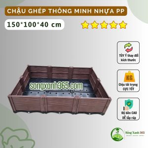 Chậu trồng rau thông minh màu nâu nhựa PP