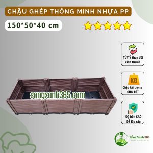 Chậu trồng rau nhựa PP thông minh