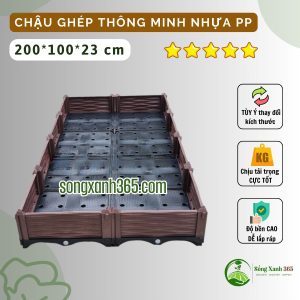 Chậu trồng rau nhựa PP thông minh