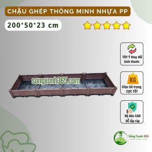 Chậu trồng rau nhựa PP thông minh