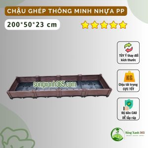 Chậu trồng rau nhựa PP thông minh